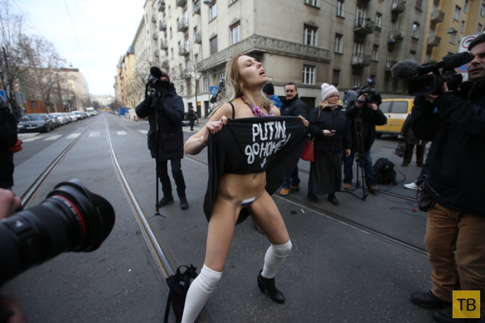 (18+) FEMEN в Венгрии протестует без трусов (8 фото)