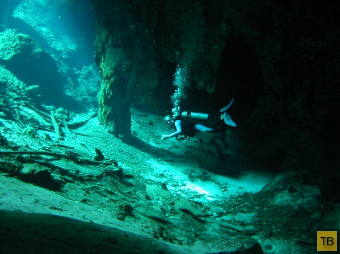 Сенот Анжелита - мистическая подводная река в Мексике (6 фото)