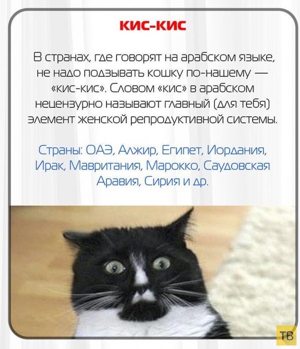 Русские слова, похожие на ругательства в других странах (10 фото)