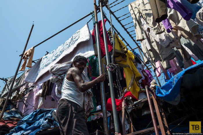 Дхоби-Гхат – район прачек в Мумбаи (26 фото)