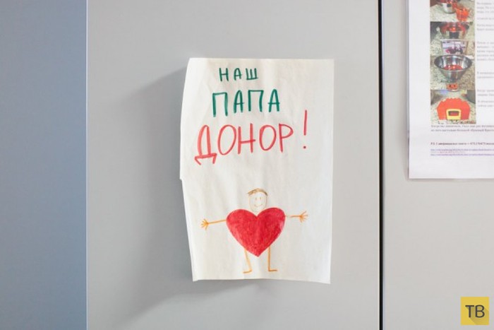 Как стать донором в Москве и спасти чью-то жизнь (24 фото)