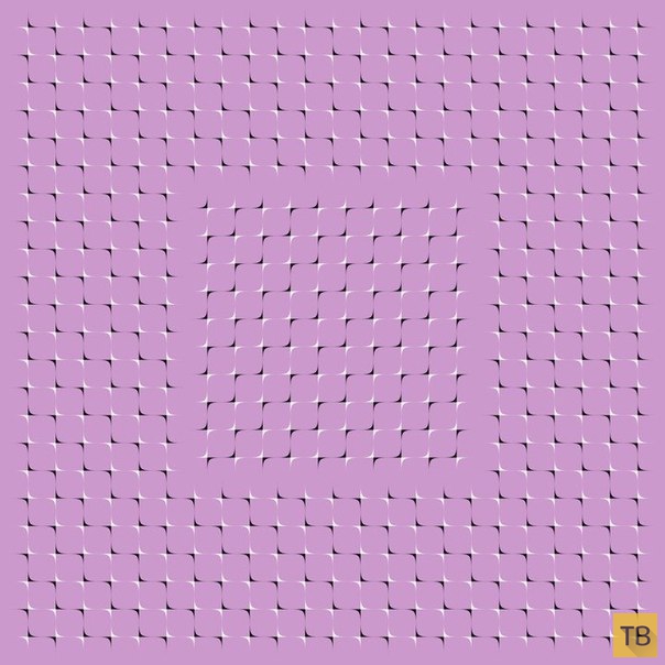 Удивительные оптические иллюзии (12 фото)