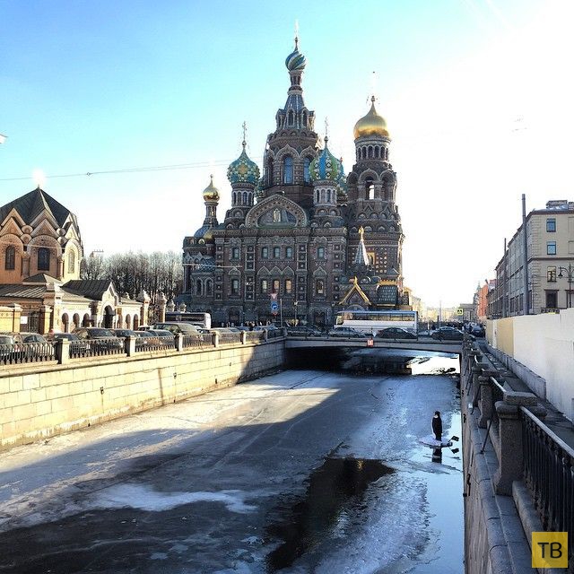 Новый необычный арт-объект в канале Грибоедова в Санкт-Петербурге (8 фото)