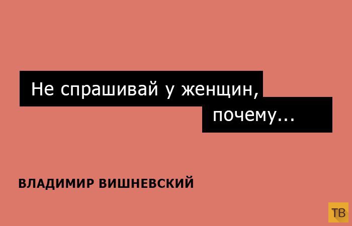 Одностишия Владимира Вишневского на каждый день (15 фото)