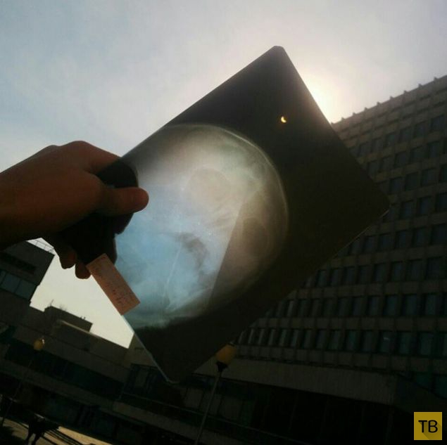 Как россияне наблюдали за солнечным затмением (19 фото)