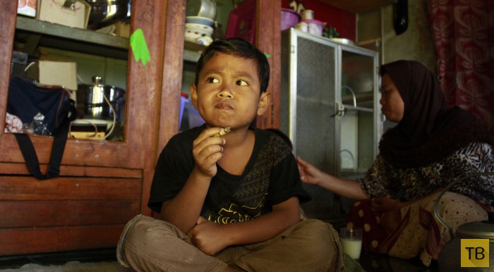 Шок! 7-летний школьник из Индонезии выкуривает по три пачки сигарет в день (10 фото)