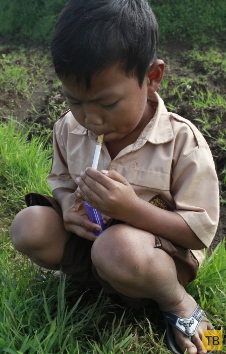 Шок! 7-летний школьник из Индонезии выкуривает по три пачки сигарет в день (10 фото)