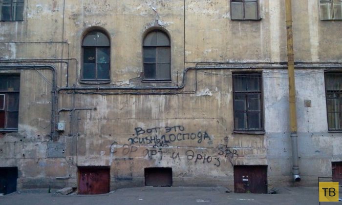 Прикольные надписи на стенах и заборах культурной столицы (20 фото)