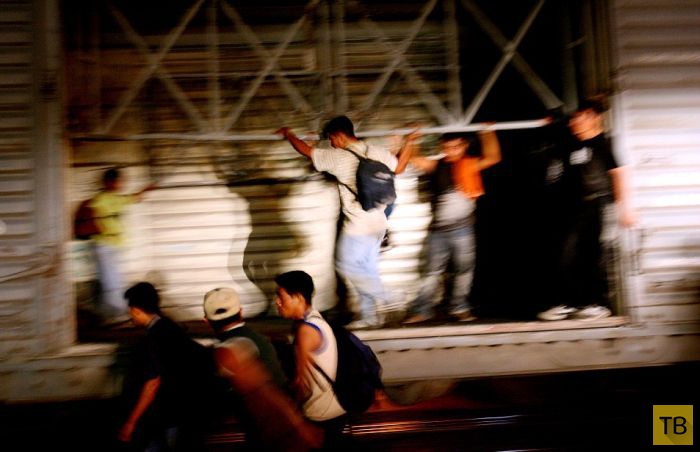 Рискованное путешествие мигрантов из Мексики в США (15 фото)
