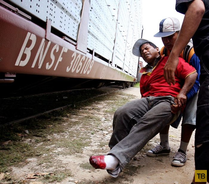 Рискованное путешествие мигрантов из Мексики в США (15 фото)