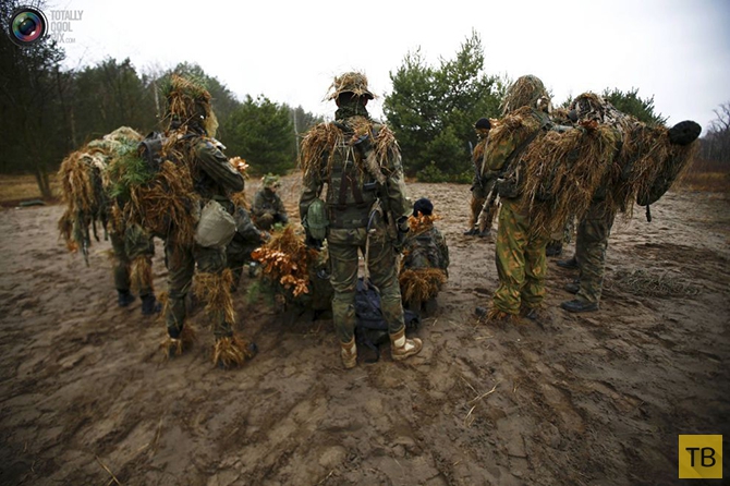 Польская ассоциация стрелков «Strzelec» провела учения по территориальной обороне (25 фото)