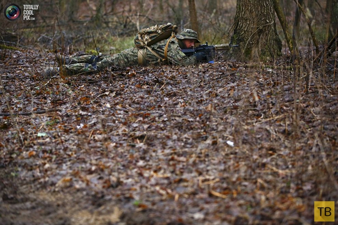 Польская ассоциация стрелков «Strzelec» провела учения по территориальной обороне (25 фото)