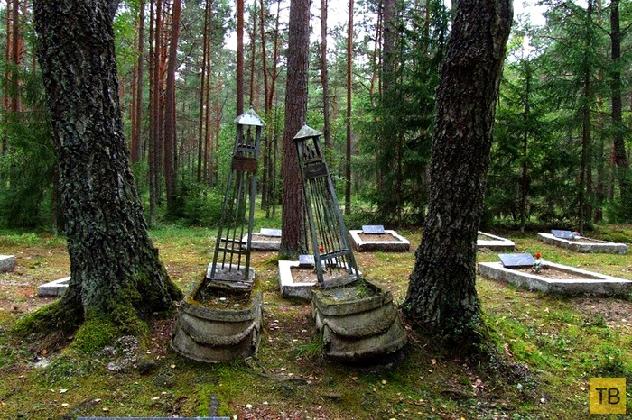 Кладбище советских военных летчиков на севере Эстонии (8 фото)