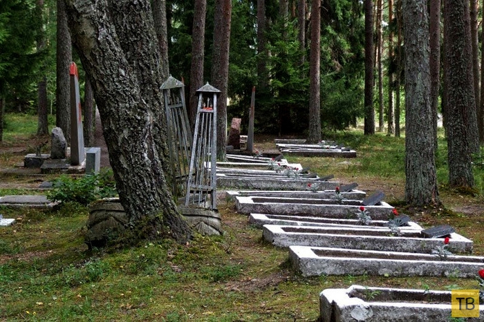 Кладбище советских военных летчиков на севере Эстонии (8 фото)