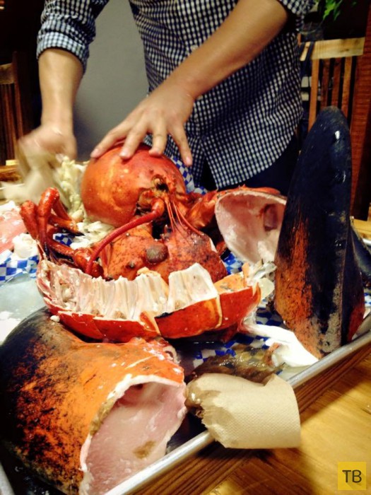 Заказал на день рождения 8-килограммового омара (5 фото)
