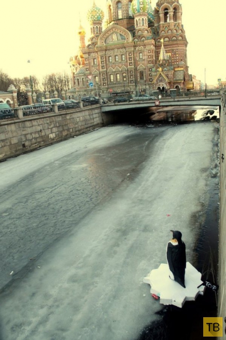 Новый необычный арт-объект в канале Грибоедова в Санкт-Петербурге (8 фото)