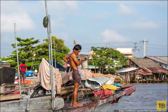 Жизнь в плавучих деревнях Вьетнама (9 фото)