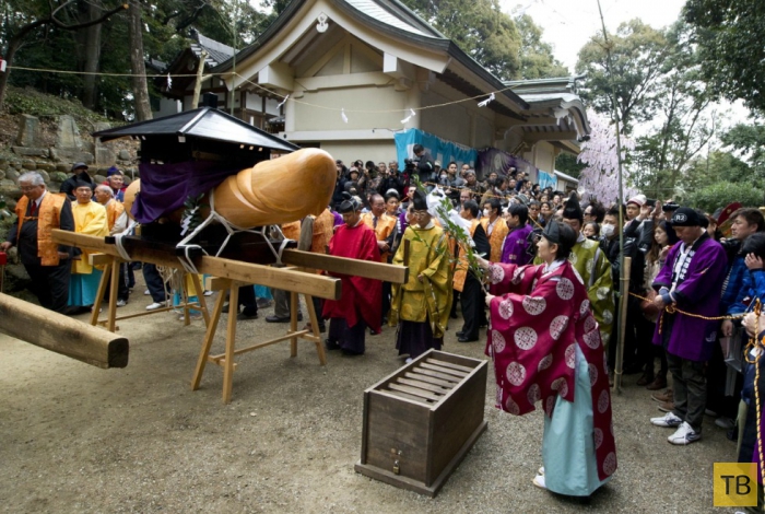 Ежегодный эротический фестиваль в Японии (12 фото)