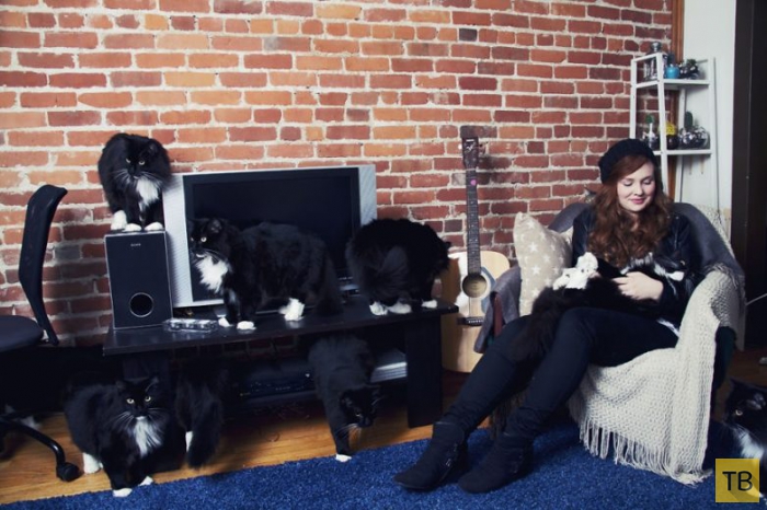 Фотоработы француженки Андреанн Люпьен о людях, любящих кошек (20 фото)