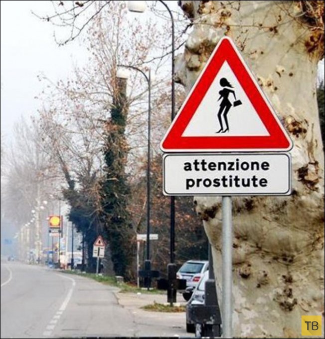 Неожиданные дорожные знаки (15 фото)