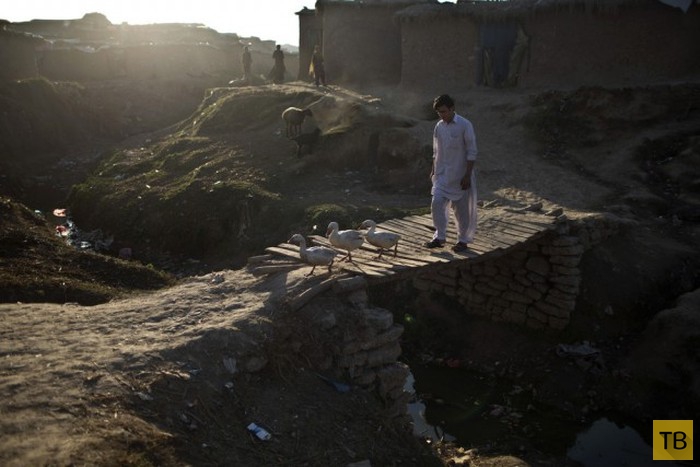Жизнь простых людей Пакистана (50 фото)