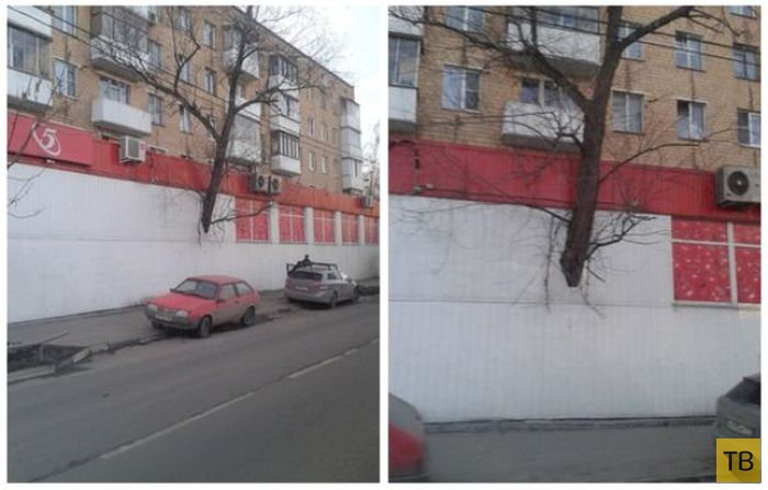 Тем временем в России, часть 22 (41 фото)