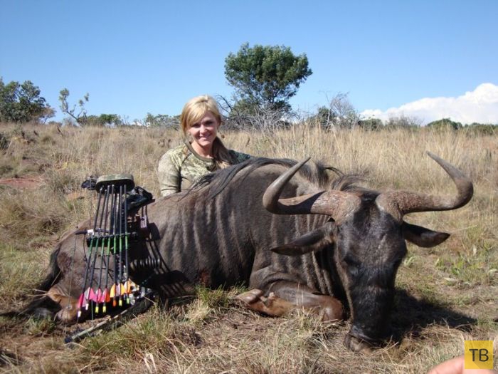 Американка Ребекка Фрэнсис - жестокая убийца экзотических животных и мать 8-х детей (14 фото)