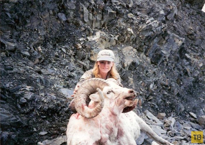 Американка Ребекка Фрэнсис - жестокая убийца экзотических животных и мать 8-х детей (14 фото)