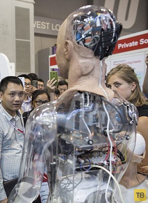 Новый реалистичный робот Хэм на выставке в Гонконге (7 фото)