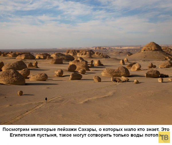 Откуда столько песка в пустыне Сахара? (19 фото)