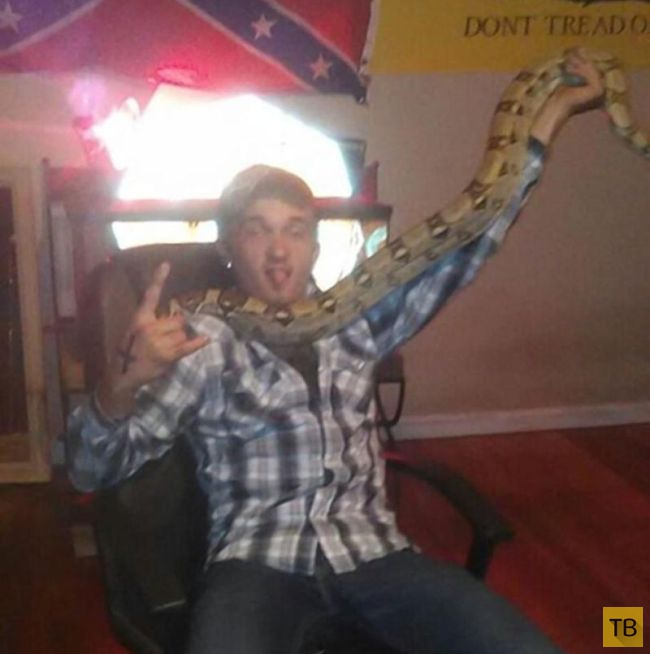 Змее не понравился поцелуй 18-летнего американца (9 фото)