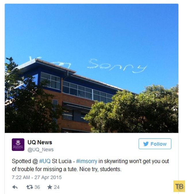Надпись «I'm sorry» в небе над австралийским Брисбеном (6 фото)