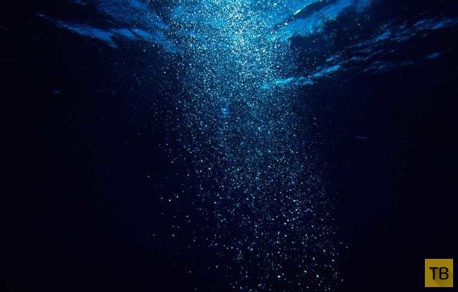 Топ 15: Шокирующие факты об океане (15 фото)