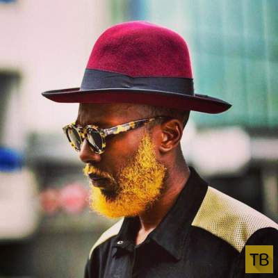 Новое в мире моды: цветная борода (13 фото)