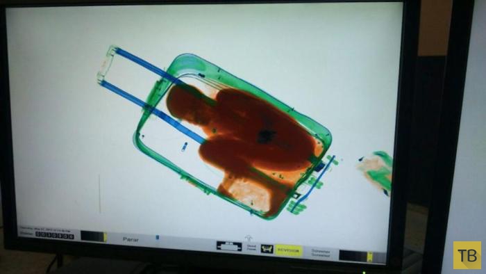 Девушка хотела провезти в чемодане ребенка в Испанию (4 фото)