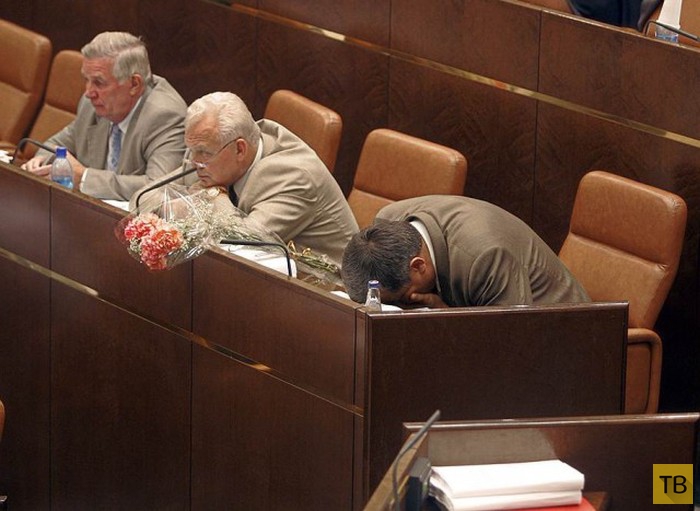 Спящие политики (23 фото)