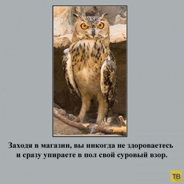 Особенности русских туристов (20 фото)