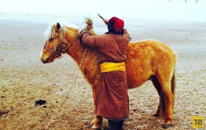 Подборка фотографий монгольских пользователей соц. сетей (48 фото)