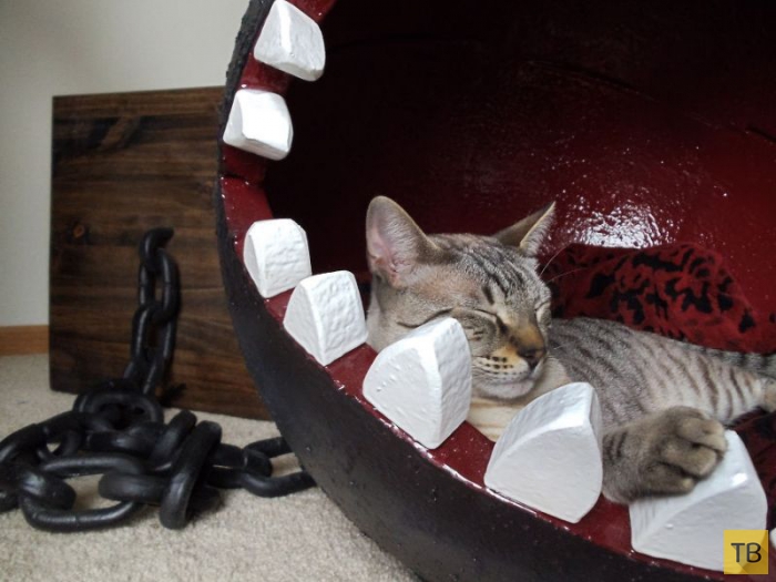 Зубастая кровать для кота от фаната Марио своими руками (11 фото)