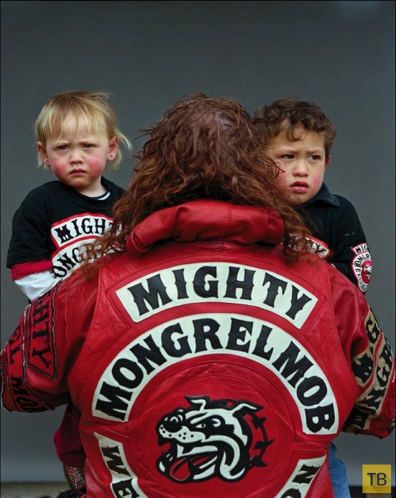 Банда Монгрел Моб (Mongrel Mob) из Новой Зеландии (18 фото)