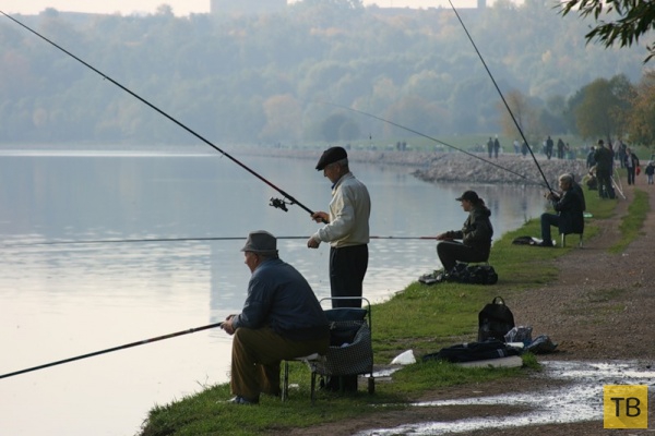 Рыбалка на Москве-реке (3 фото)