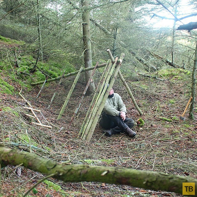Как построить в лесу шалаш за один час (10 фото)