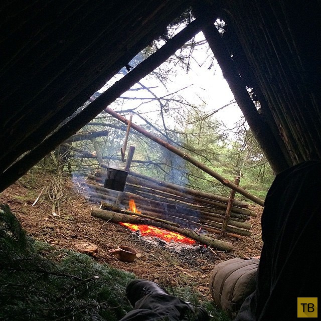 Как построить в лесу шалаш за один час (10 фото)