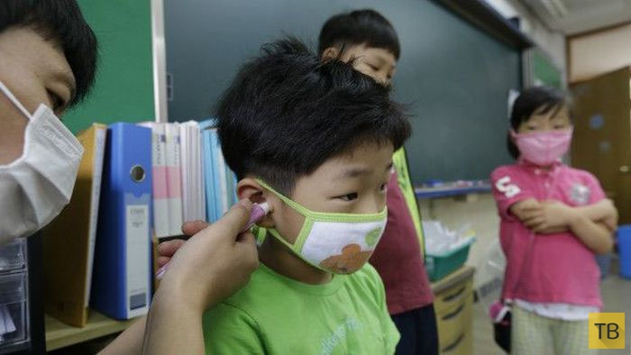 В Южной Корее 87 человек заразились вирусом  MERS (4 фото)