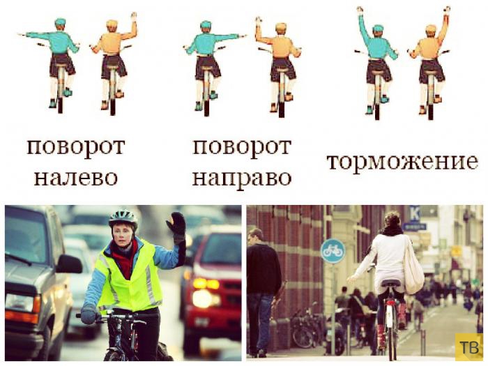 Главные правила велосипедиста (13 фото)