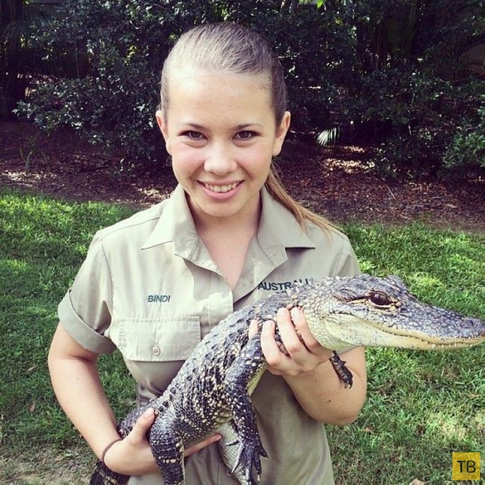 Бинди - дочь охотника на крокодилов  Стива Ирвина (14 фото)