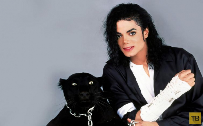 6 лет без Майкла Джексона (13 фото)