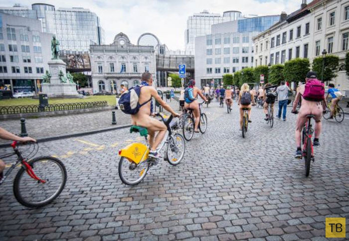 (18+) Голые велосипедисты в центре Брюсселя (13 фото)