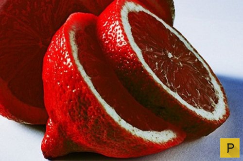 Топ 16: Необычные и полезные гибридные фрукты и ягоды (16 фото)