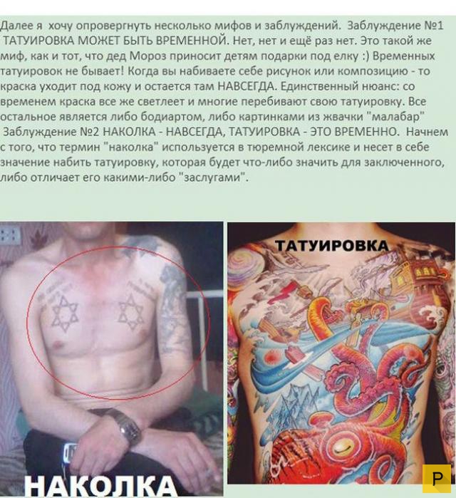 Познавательная информация о татуировках (12 фото)